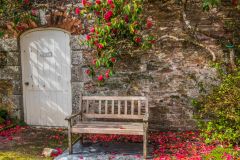 A quiet seat in the walled garden