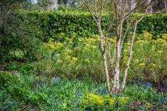 Spring colours at their lush best