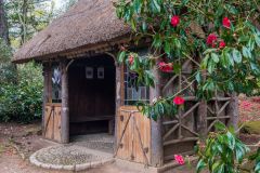 The thatched garden hut