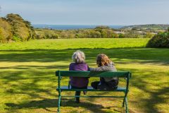 Looking south across the House Lawn