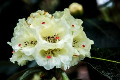 April blossoms give a splash of colour