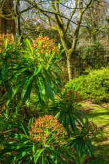 A sudden burst of spring sunshine