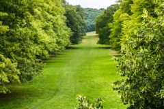 Tring Park, The 18th-century lime avenue