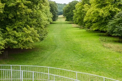 The 18th-century lime avenue