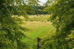 Tring Park, Looking out over the Park