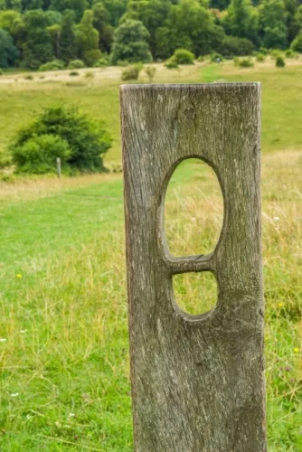 A footpath leads to the woodland garden