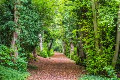 Tring Park, King Charles' Ride