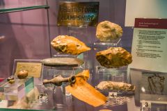 Local archaeology exhibit