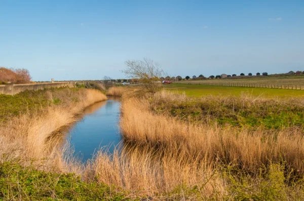 The Dunwich River at Walberswick