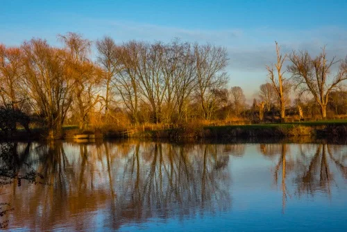 The River Thames at Wallingford