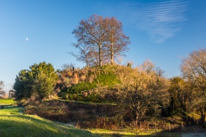 The Norman motte