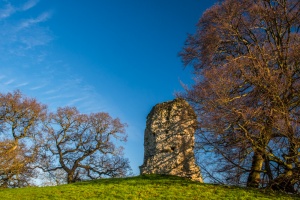 Ruins of the Queen's Tower