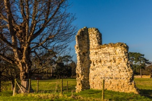 A section of ruined curtain wall