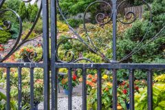 A pretty cottage garden