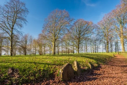 Looking down the eastern edge of the barrow