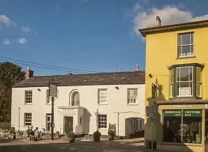 The Swan (c) Derek Harper