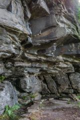 Weem Forest & St David's Well, The Rock of Weem and St David's Well