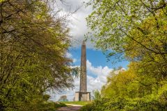 Wellington Monument, The beech avenue opens out to expose the Monument
