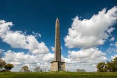 Wellington Monument, The Wellington Monument from the beech avenue exit