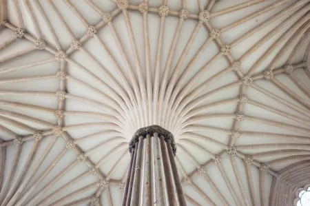 The chapter house vaulting