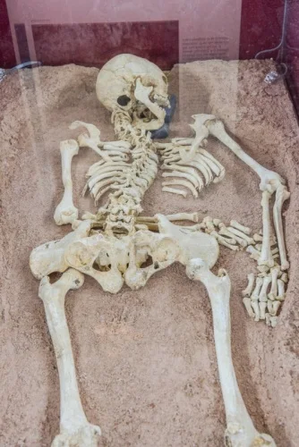 The 1st-century skeleton