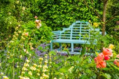 A garden bench lost in colourful flowers