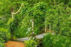 A small footbridge surrounded by lush greenery