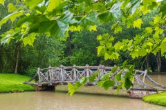 The wooden footbridge