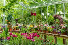 Inside the historic restored greenhouses