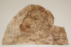 St Christopher wall painting fragment