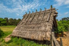 The thatched piggery