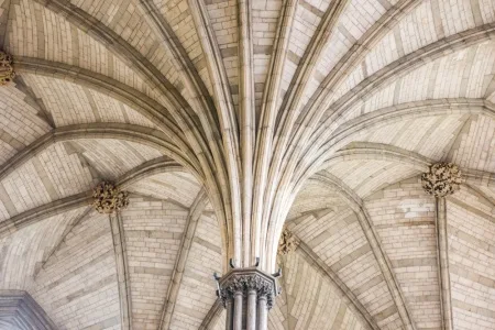 The Chapter House vaulting