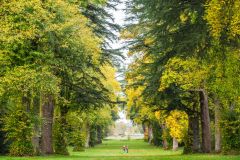 Jackson Avenue, Old Arboretum