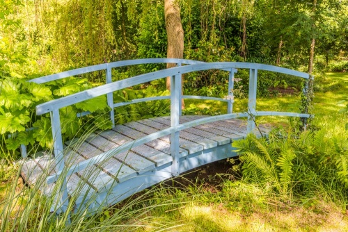 The Monet Bridge