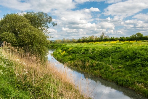 Engine Rhyne, beside the Pumping Station