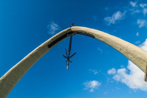 The Whalebone Arch