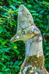 A whimsical peacock statue