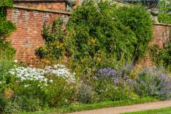 The herbaceous border and kitchen garden wall