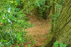 Devil's Dyke, Wheathampstead, Looking down into the ditch