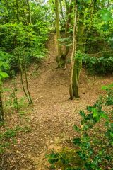 Devil's Dyke, Wheathampstead, Looking north across the ditch