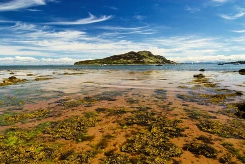 Holy Isle from Whiting Bay