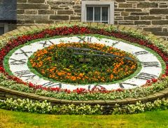 Wick's floral clock