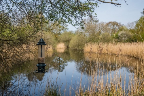 Wicken Fen