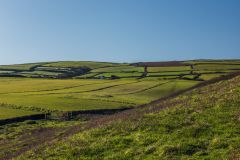 Forrabury Stitches from the base of Willapark
