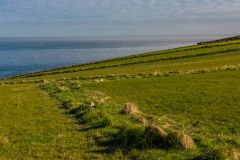 Looking along the Forrabury Stitches
