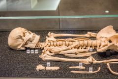 The Stonehenge Archer skeleton