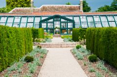 The restored glasshouse