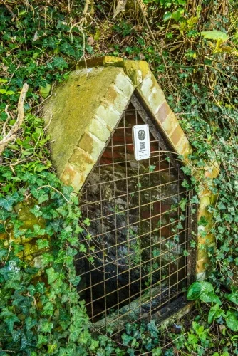 Queen Elizabeth's Well