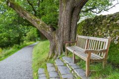 A footpath in Elleray Woods
