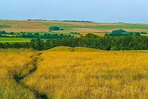 Inside the camp enclosure (see the Bronze Age barrow in the distance) 